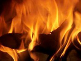 8. Kamingespräch Steglitz-Zehlendorf