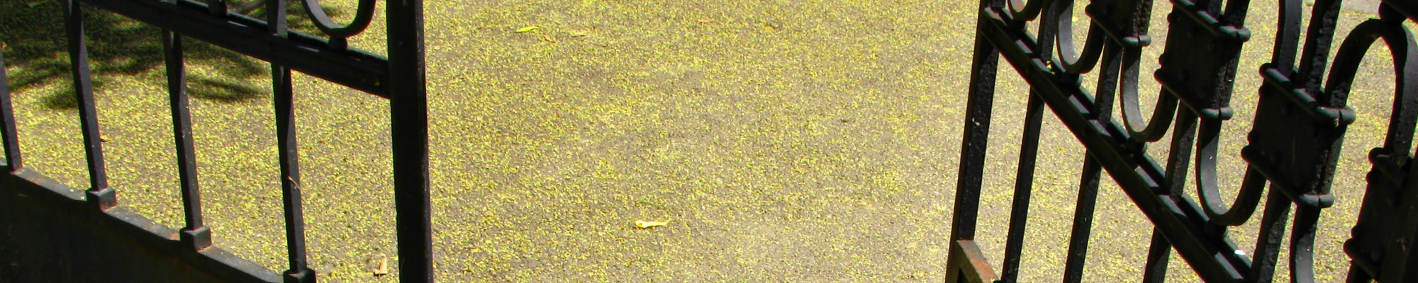 Transparente Zivilgesellschaft